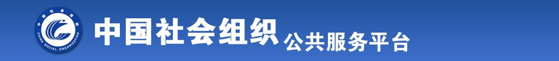 阴茎插阴道的视频网站全国社会组织信息查询